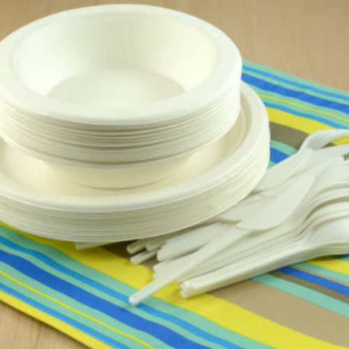 Disposable Tableware